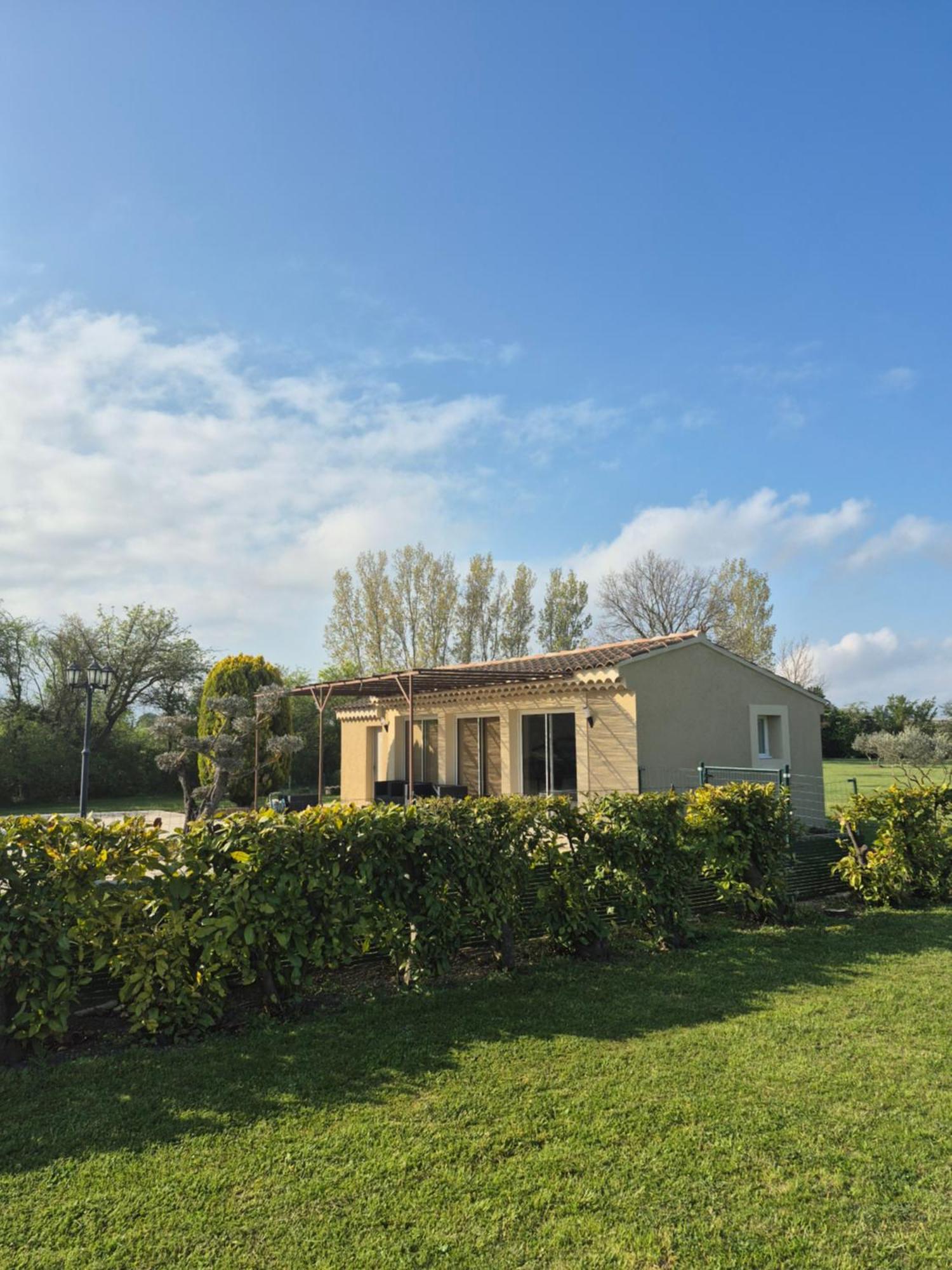 Mas Clement - Chambre Et Table D'Hotes LʼIsle-sur-la-Sorgue Exterior foto